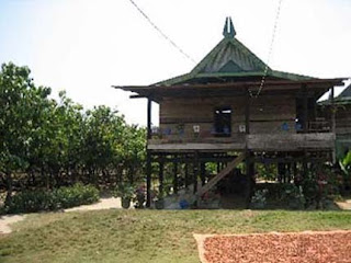 Rumah+Laikas-Sulawesi-Tenggara-traditional-house