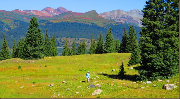 Silverton43-12 Aug 2016
