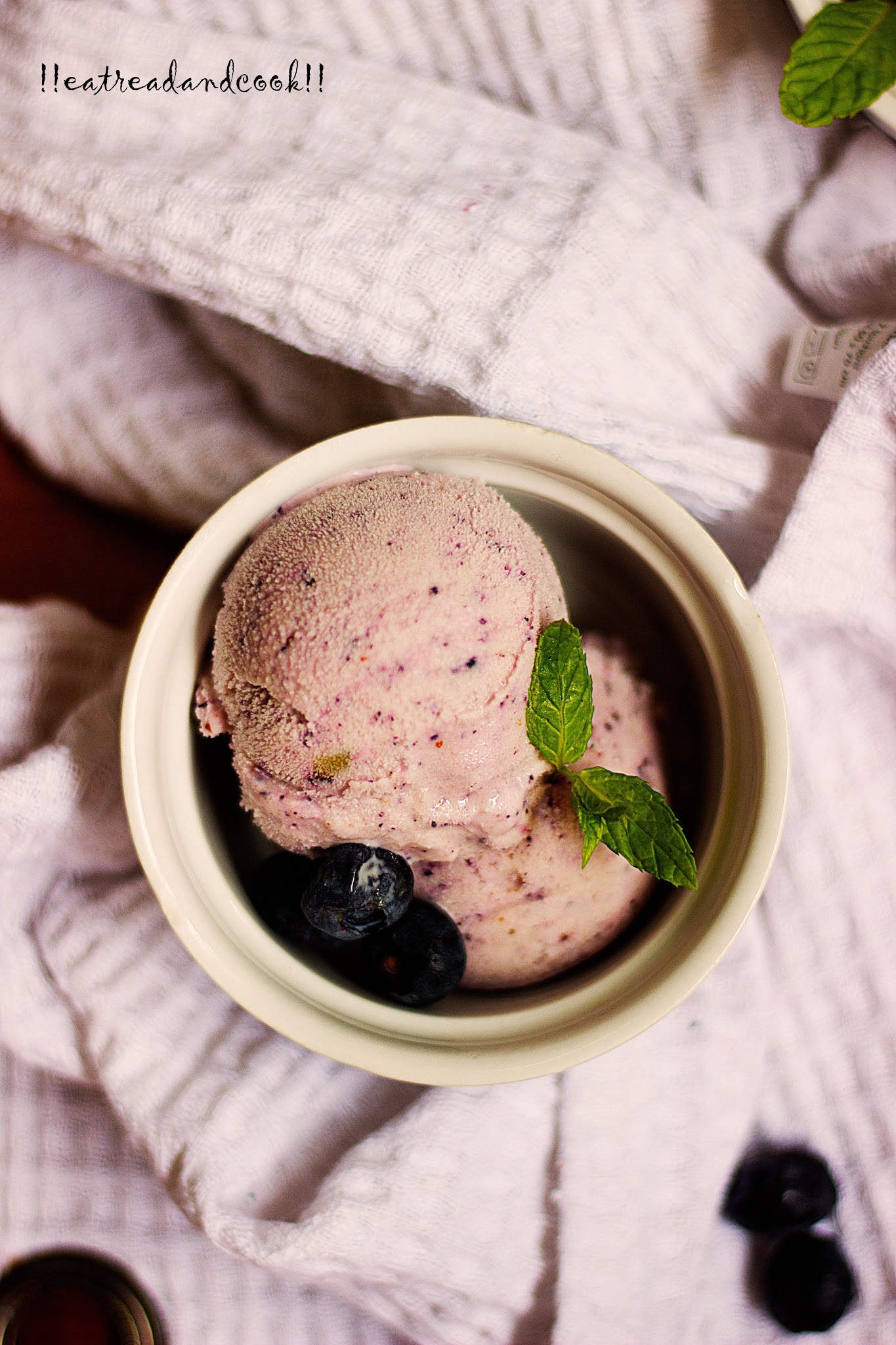 how to make Blueberry Frozen Yogurt recipe and preparation