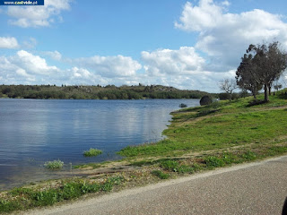 Albufeira, Barragem de Póvoa e Meadas de Castelo de Vide, Portugal (Fish)