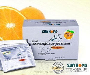 SUN HOPE ENZYMES