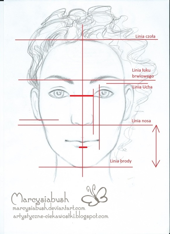 Artystyczne Ciekawostki Marcysibush Proporcje Twarzy W En