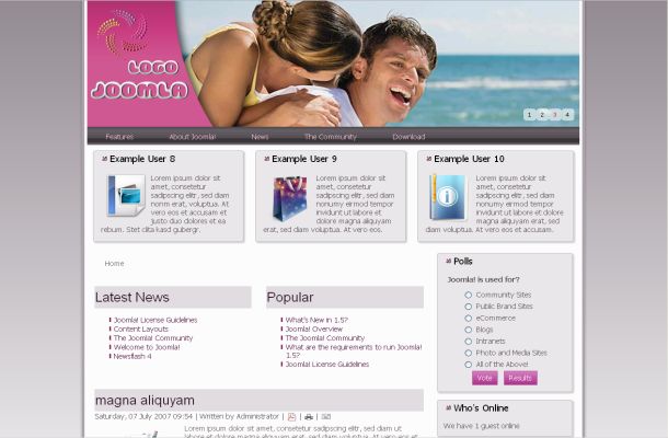 Free Pink Grey Flash Joomla 17 Theme Template