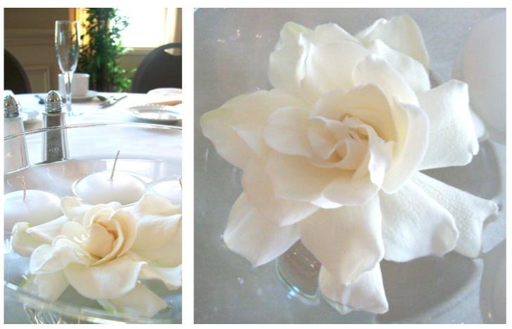 The Centerpieces featured floating Gardenia which smelled amazing my whole