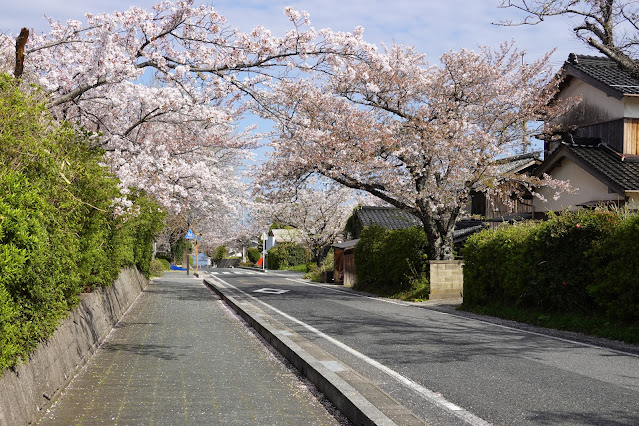 鳥取県西伯郡大山町御来屋 名和公園