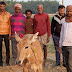 भटककर पहुँची नील गाय: ग्रामीणों ने पकड़ा, दी वन विभाग को सूचना  