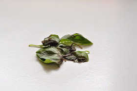 Frozen Herbs ~ Simple Food