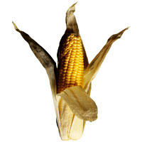 corn_recipes