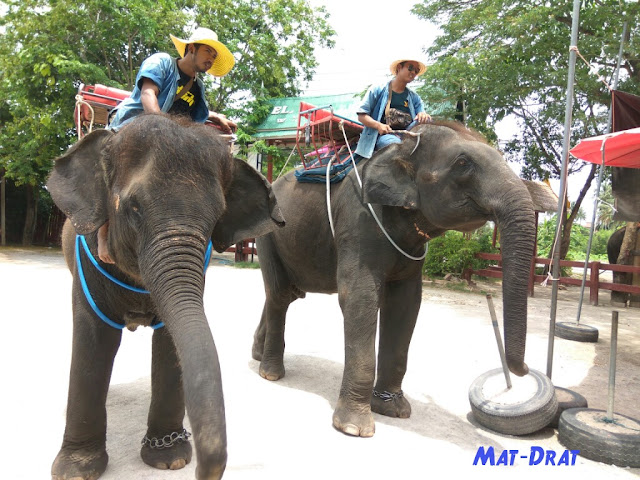 Elephant Village Damnoen Saduak Housing