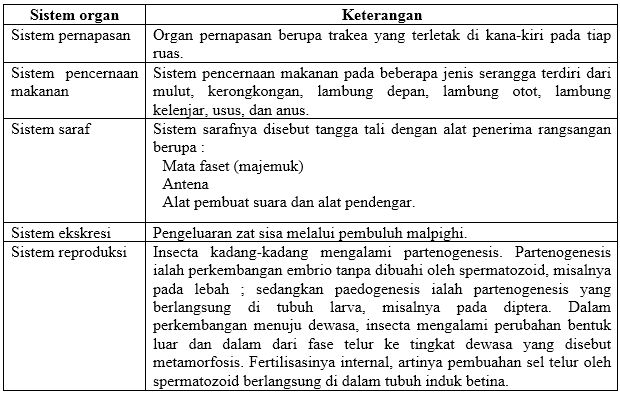 Apa yang Dimaksud Filum Arthropoda ? Karakteristik, Ciri Morfologi, Anatomi dan Fisiologin !