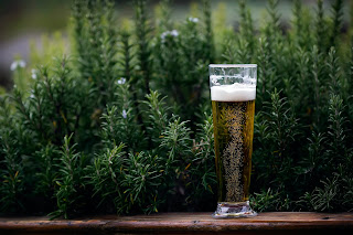 Beer and Olive Oil hair mask