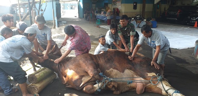 Padepokan Honny Bagikan 800 Paket Daging Kurban