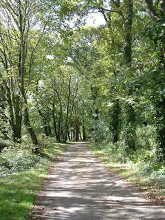 Tehidy Country Park