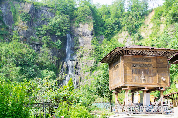 Rize'de şelale ve semender