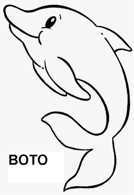 Personagem do folclore brasileiro, Boto