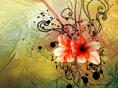 flowers wallpapers - jasmine background