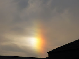 sun dog