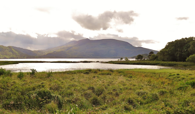 Lough Leane with the Macgillicuddy's Reeks Mountains in Killarney, Ireland National Park