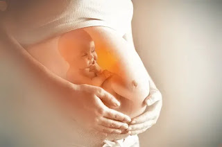 baby in womb