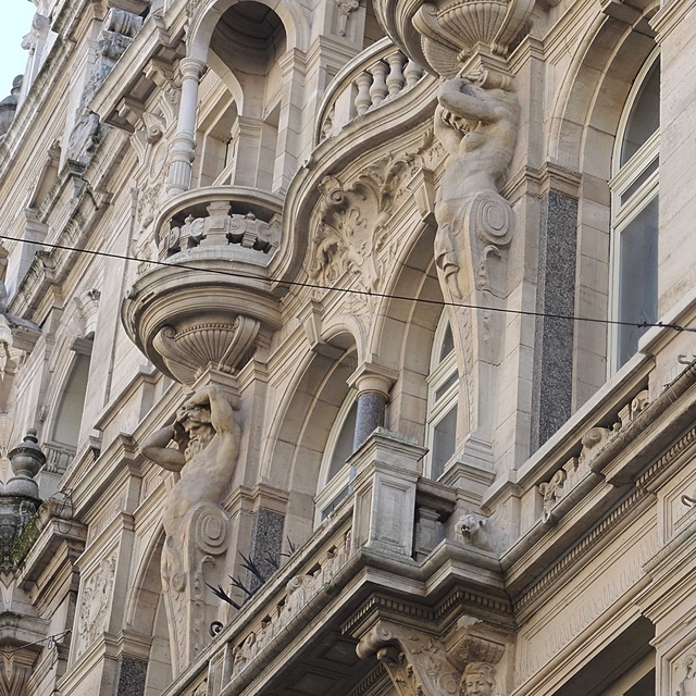 Antwerpen: Hoog mensen ! Kijk omhoog mensen !