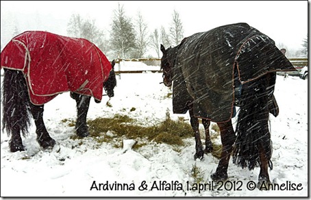 ardvinna-alf-1april2012