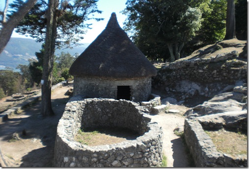 CIMG4648
