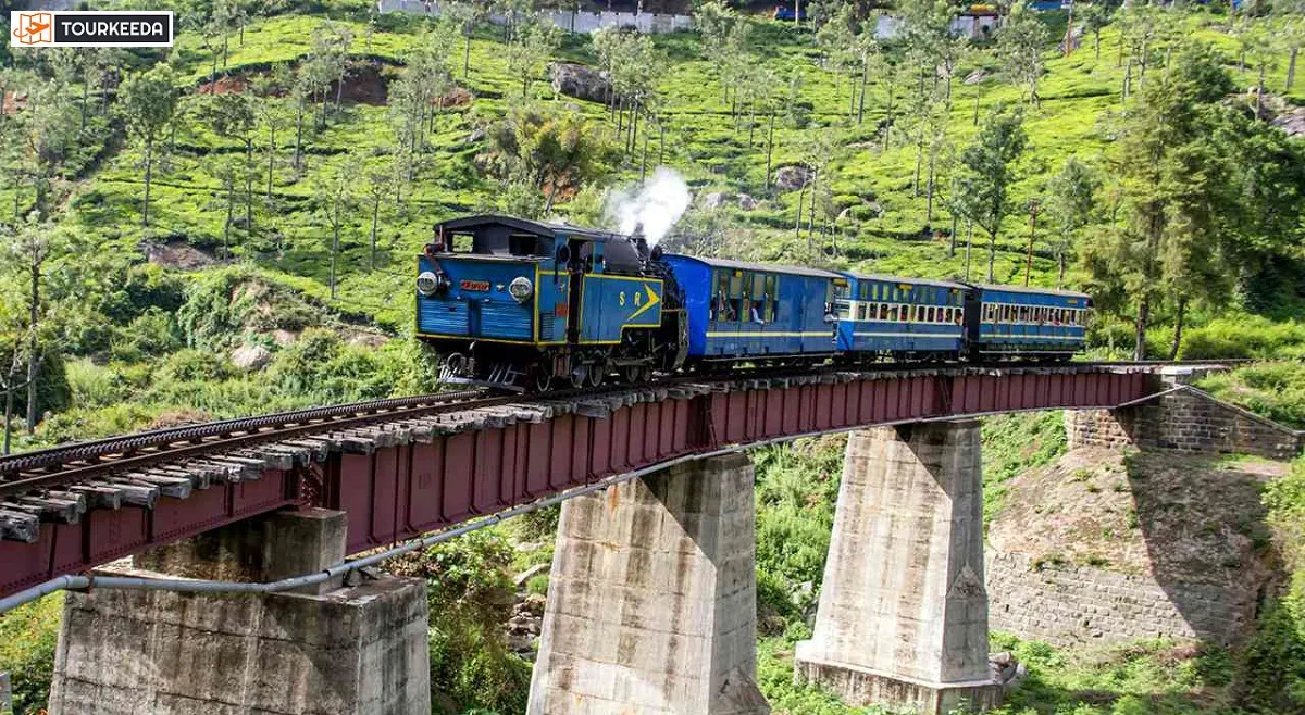 One Day Coonoor Sightseeing Tour Package by Cab