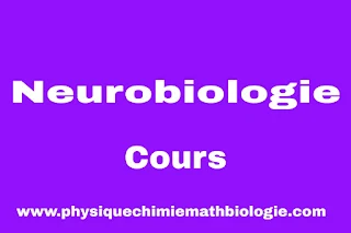 Cours Neurobiologie PDF