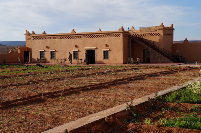 Maison d'Hote Ecolodge l'île de Ouarzazate