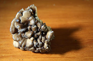 Many times we eat with mushrooms in a part of the diet.