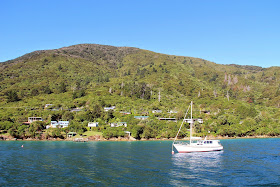 Marlborough Sound New Zealand