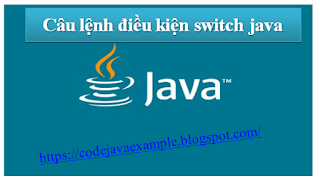 Câu lệnh điều kiện switch java