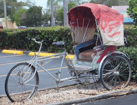 day 6 bicycle
