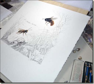 stage3