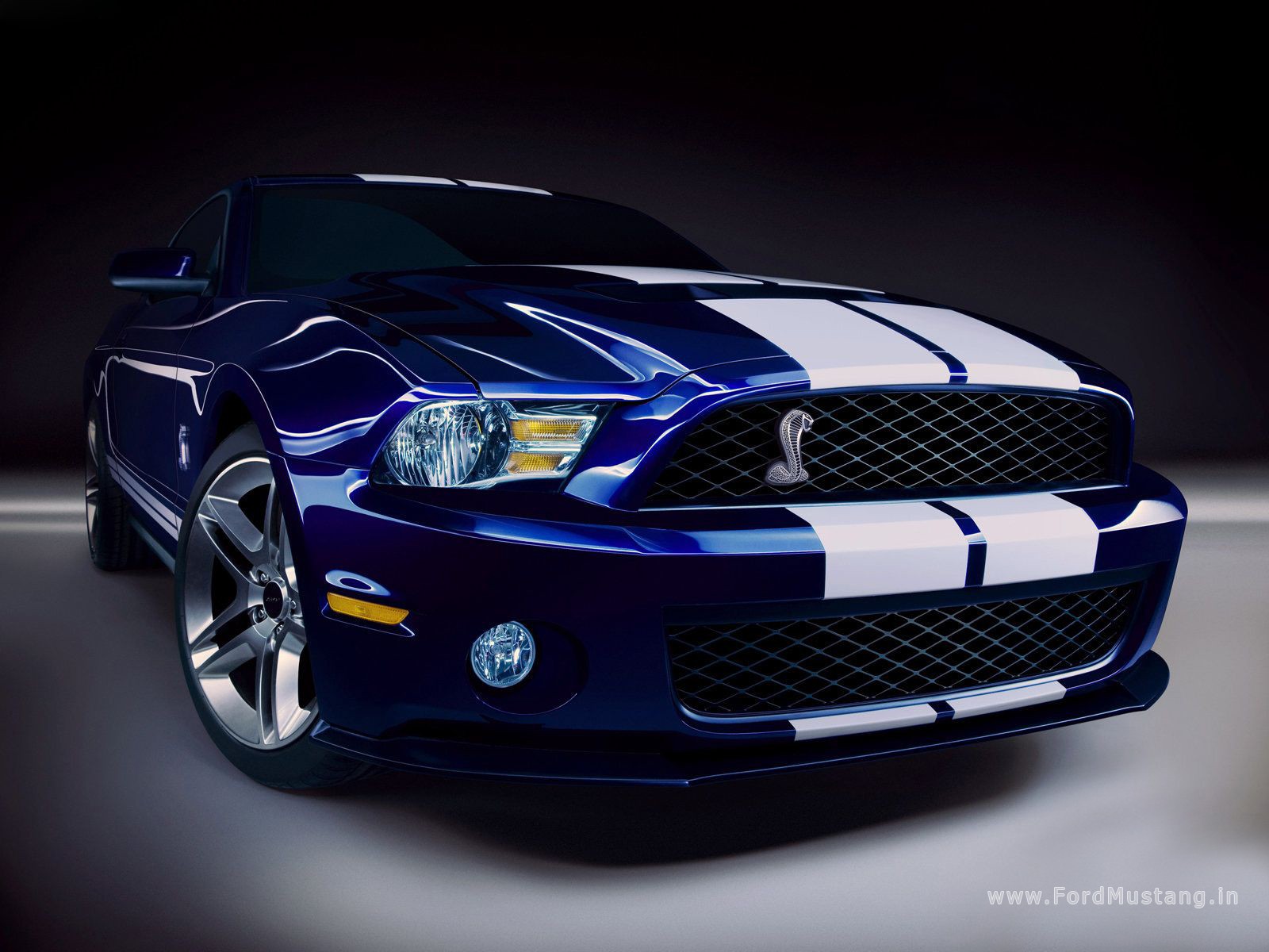 Ford Mustang Shelby gt500 Wallpapers   Best Wall Papers With