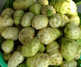 Noni fruit contains Polysaccharide