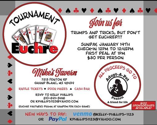 Euchre Tournament MI