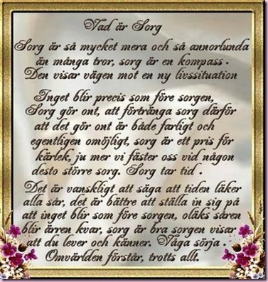 Vad är sorg[1]