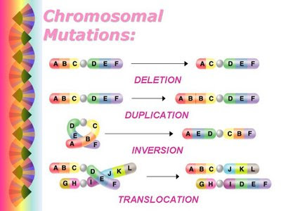 mutations from chernobyl. MUTATED ANIMALS CHERNOBYL