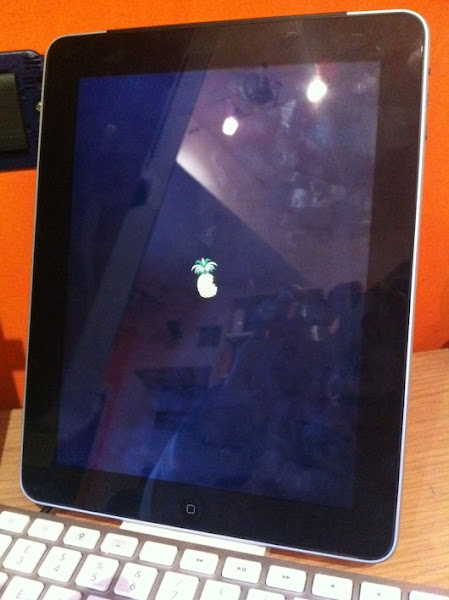 Green-Poison:-Jailbreak-iPad-4.2-(4.2.1)-RedSn0w-0.9.6b4-(Mac-and-Windows-Guide)