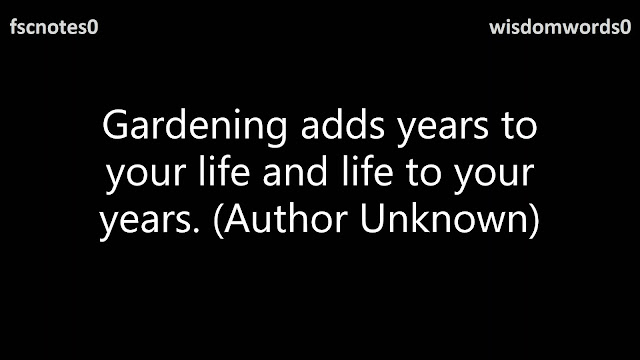 Gardening adds years to your life and life to your years. (Author Unknown)