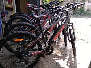 sewa sepeda ubud - ebike tour