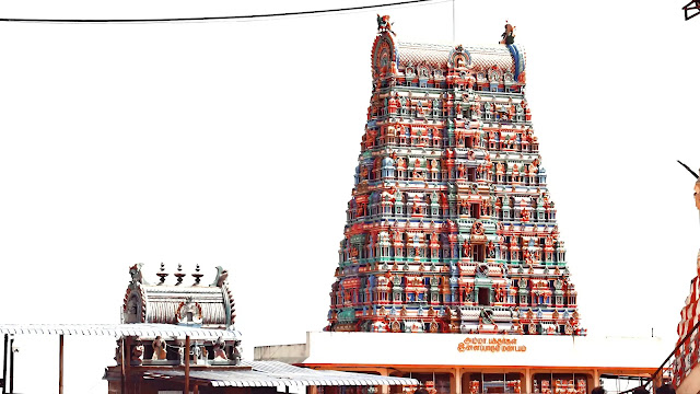 2. Tamil Nadu: Immerse Yourself in History and Serenity