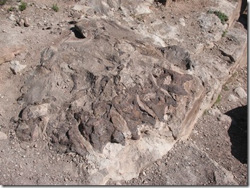 2012-04-20 Trail Thru Time, Rabbit Valley, CO (2)