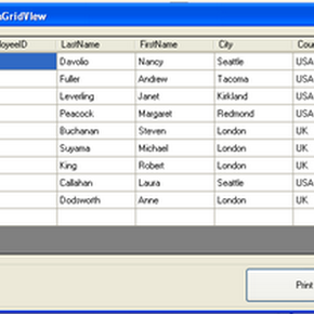 Print DataGridView In WinForms C# VB.NET