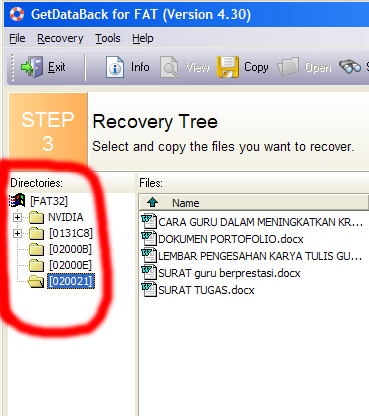 Recovery Data Terformat 9_1