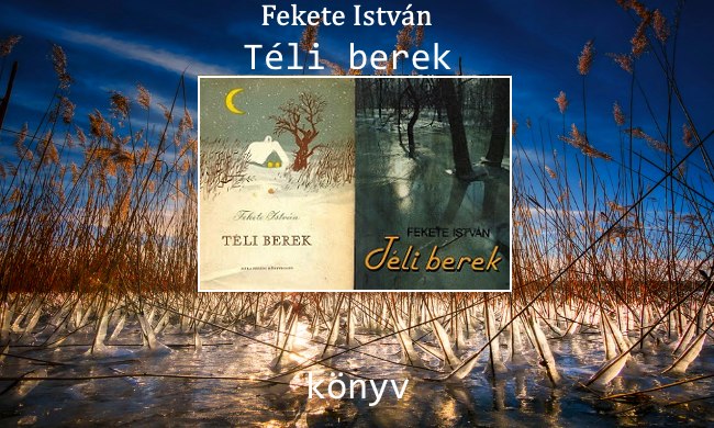 Fekete István Téli berek könyv