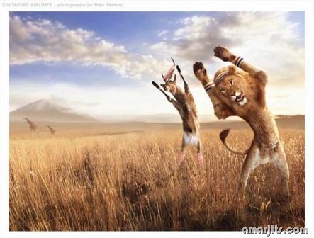 Funny-Pics-amarjits (56)