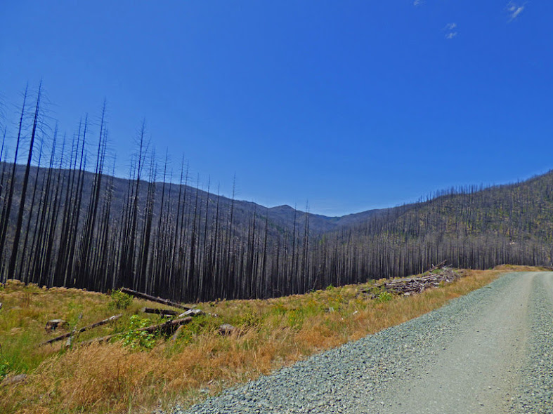 2017 Chetco Bar Fire