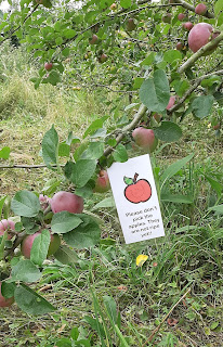 Brightwell cum Sotwell Community Orchard